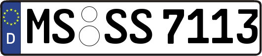 MS-SS7113