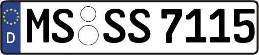 MS-SS7115