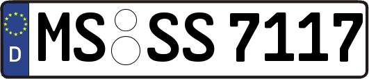 MS-SS7117