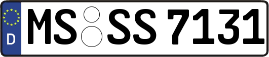 MS-SS7131