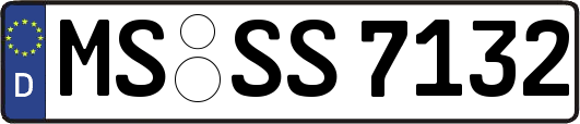 MS-SS7132