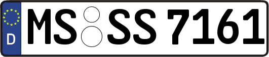 MS-SS7161