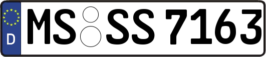 MS-SS7163