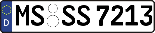 MS-SS7213