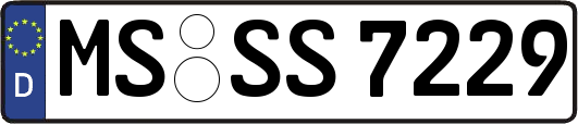 MS-SS7229