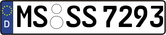MS-SS7293
