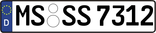 MS-SS7312