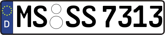 MS-SS7313