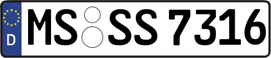 MS-SS7316