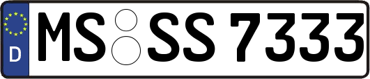 MS-SS7333