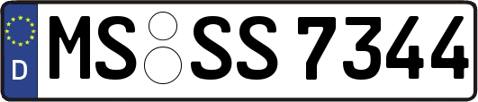 MS-SS7344