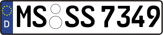 MS-SS7349