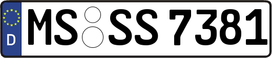 MS-SS7381