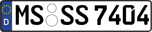 MS-SS7404
