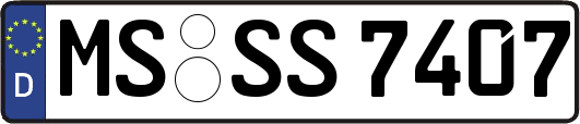 MS-SS7407