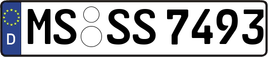 MS-SS7493