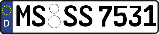 MS-SS7531