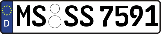 MS-SS7591