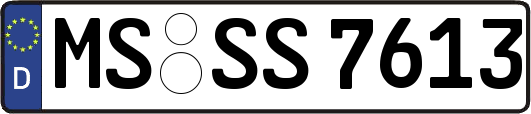MS-SS7613