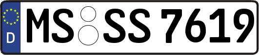 MS-SS7619