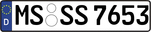 MS-SS7653