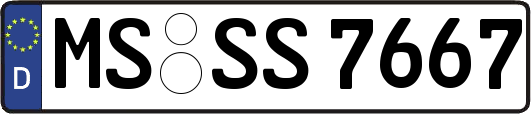 MS-SS7667