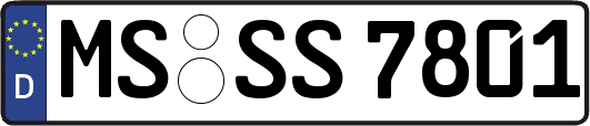 MS-SS7801
