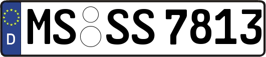 MS-SS7813