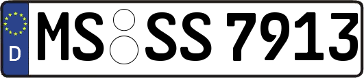 MS-SS7913