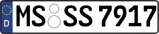MS-SS7917