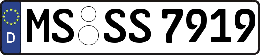 MS-SS7919