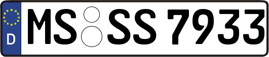 MS-SS7933