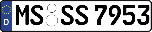 MS-SS7953