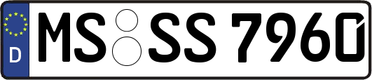 MS-SS7960