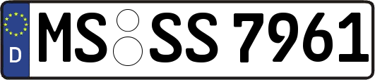 MS-SS7961