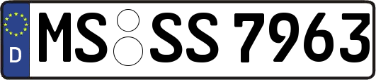 MS-SS7963