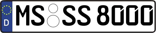 MS-SS8000