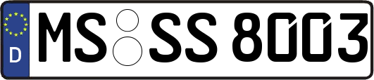 MS-SS8003