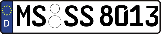 MS-SS8013