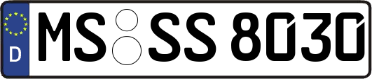 MS-SS8030