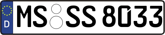 MS-SS8033