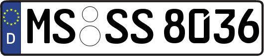 MS-SS8036