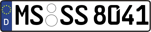 MS-SS8041