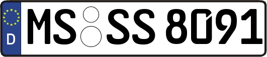 MS-SS8091
