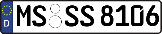 MS-SS8106