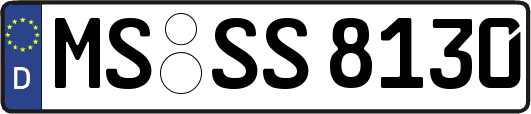 MS-SS8130