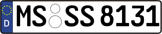 MS-SS8131