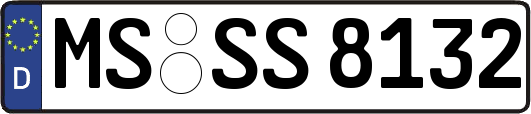MS-SS8132