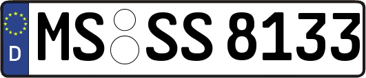 MS-SS8133