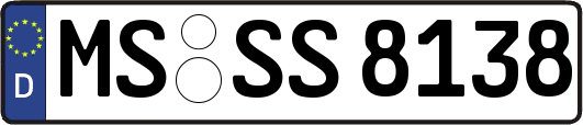 MS-SS8138